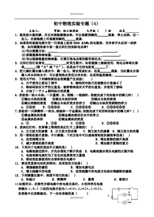 苏科版九年级物理下册实验专题4