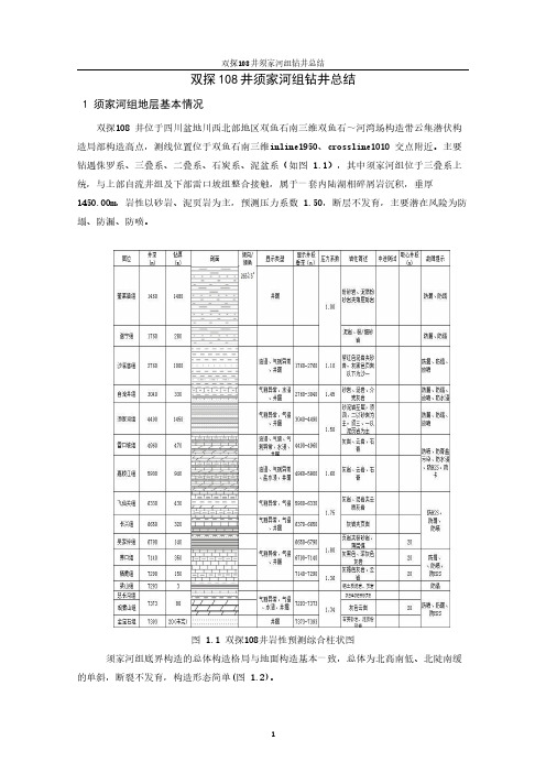 双探108井须家河组钻井总结