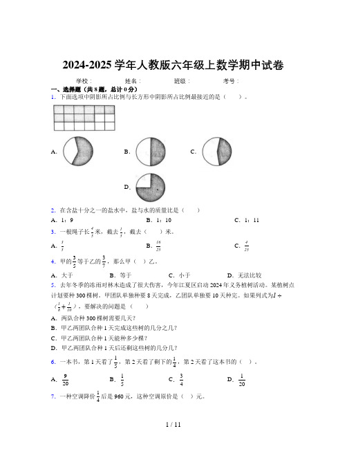 2024-2025学年六年级上册数学期中试卷及详细答案解析9904