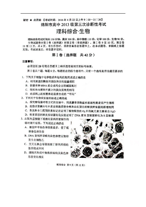 四川省绵阳市2016届高三第三次诊断性考试理综生物试题