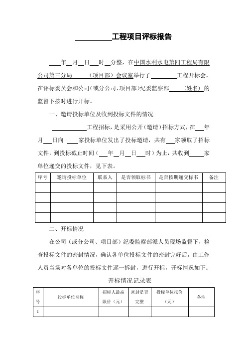 工程项目评标报告