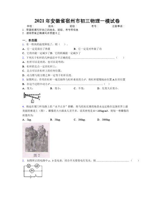 最新2021年安徽省宿州市初三物理一模试卷及解析