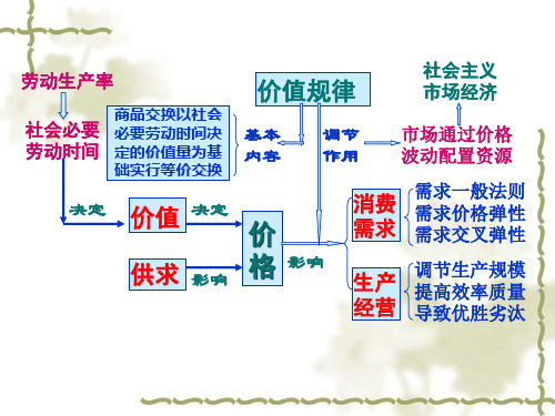 重点知识结构宏观中观微观