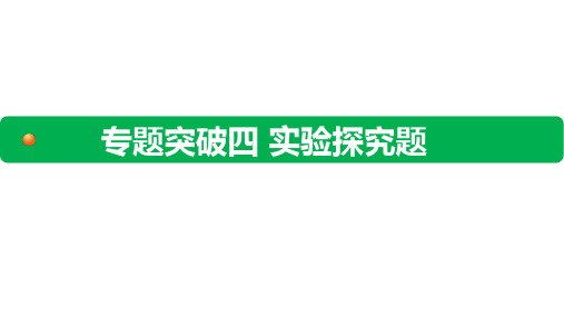 中考物理考前提分冲刺课件 专题突破四 实验探究题