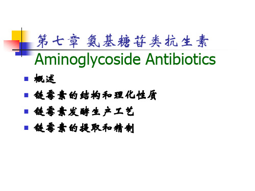 氨基糖苷类抗生素