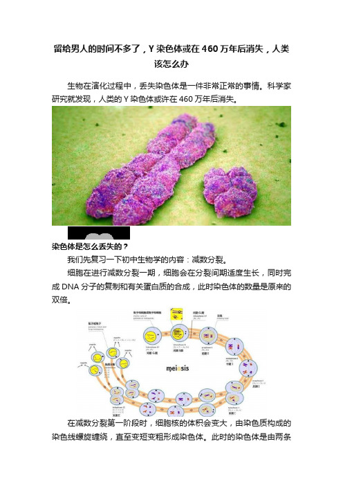 留给男人的时间不多了，Y染色体或在460万年后消失，人类该怎么办