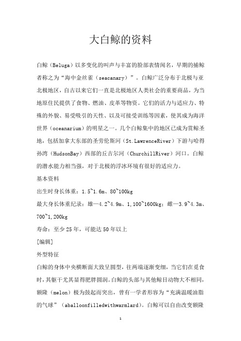 大白鲸的资料