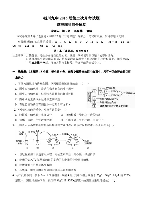 宁夏银川市高中名校2016届高三上学期第二次月考试题理科综合试题(含答案)