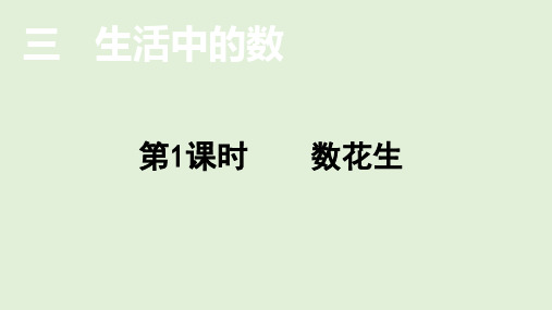 北师大版数学1年级下册 第3单元(生活中的数)数花生 课件(共29张PPT)