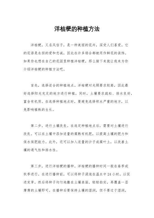 洋桔梗的种植方法