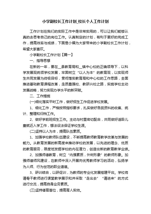 小学副校长工作计划_校长个人工作计划