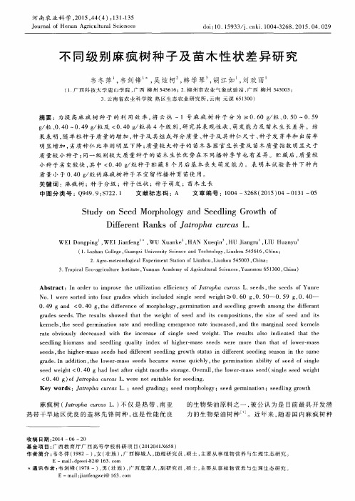 不同级别麻疯树种子及苗木性状差异研究