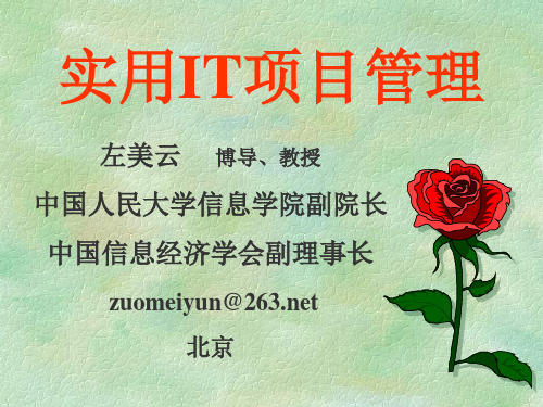 实用项目管理(2天学员版)