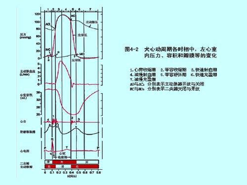 心动周期中压力变化图