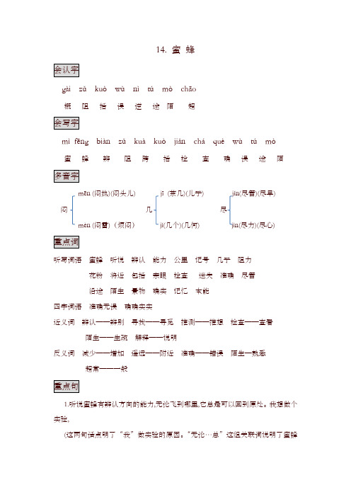 部编版三年级语文下册14. 蜜蜂  知识点总结课堂笔记 