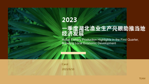 2023年一季度湖北渔业生产呈现良好发展态势报告