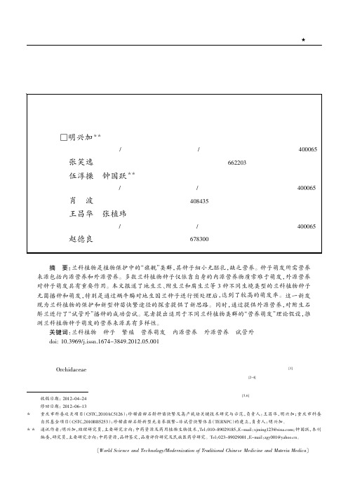 兰花种子发芽-明兴加