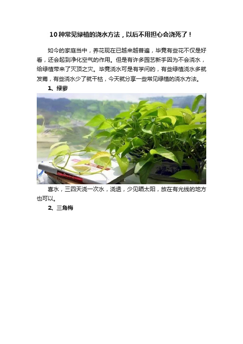 10种常见绿植的浇水方法，以后不用担心会浇死了！