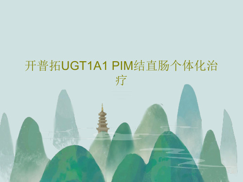 开普拓UGT1A1 PIM结直肠个体化治疗15页PPT