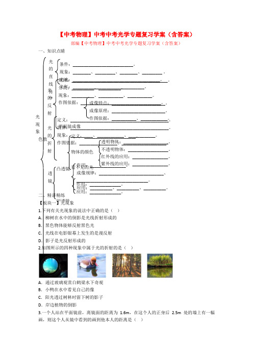 【中考物理】中考中考光学专题复习学案(含答案)