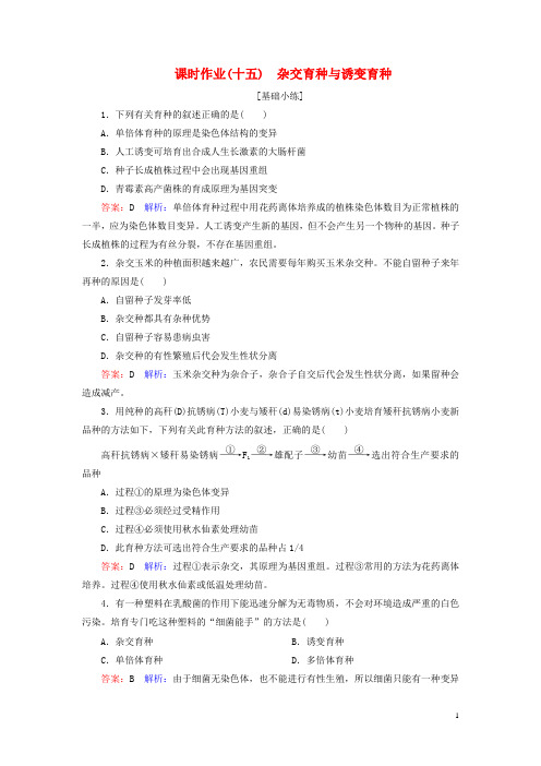 高中生物课时作业15第6章从杂交育种到基因工程第1节杂交育种与诱变育种新人教版必修2