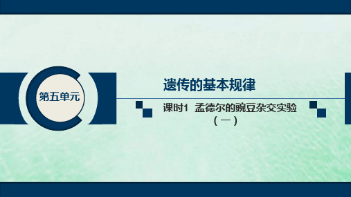 2020届高中生物一轮复习人教版孟德尔的豌豆杂交实验(一)PPT课件(70张)
