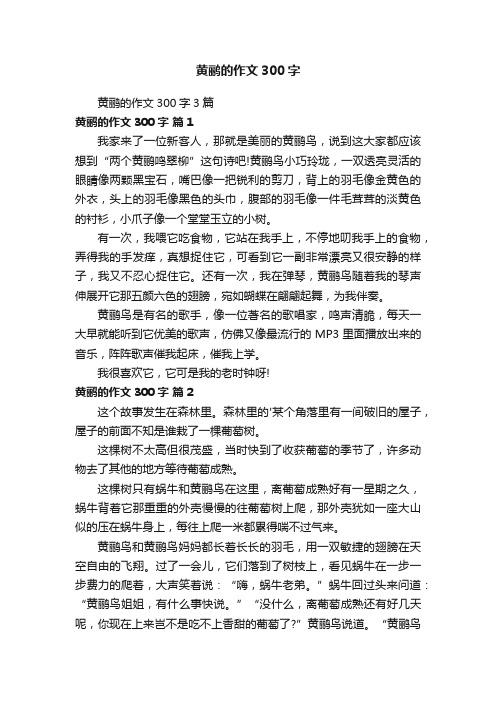 黄鹂的作文300字3篇