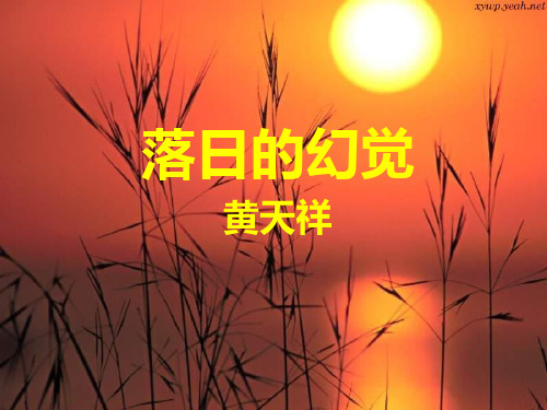 八年级语文上册 《落日的幻觉》优秀课件(11页) 人教新课标版