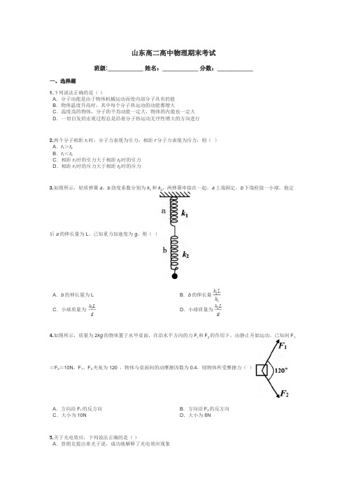 山东高二高中物理期末考试带答案解析
