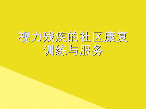 视力残疾的社区康复训练与服务PPT资料(正式版)