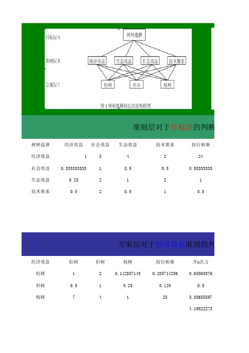 excel表格在层次分析法的实际应用(包括计算过程)