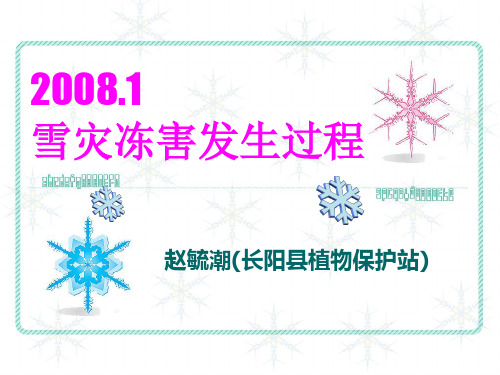 2008.1雪灾冻害发生过程