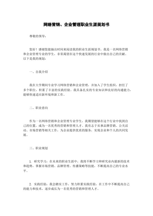 网络营销、企业管理职业生涯规划书