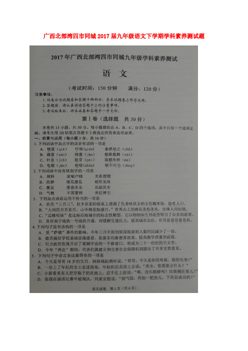 广西北部湾四市同城九年级语文下学期学科素养测试题(扫描版)