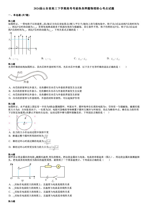 2024届山东省高三下学期高考考前热身押题物理核心考点试题