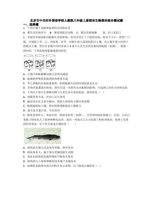 北京市中关村外国语学校人教版八年级上册期末生物期末综合测试题