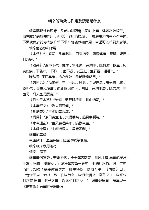 细辛的功效与作用及禁忌是什么