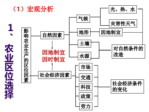 中国农作物分布