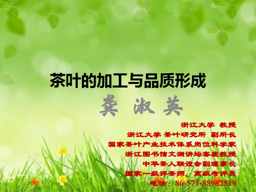 课件:分类加工与品质——龚淑英