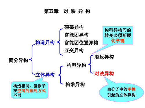 第五章对映异构