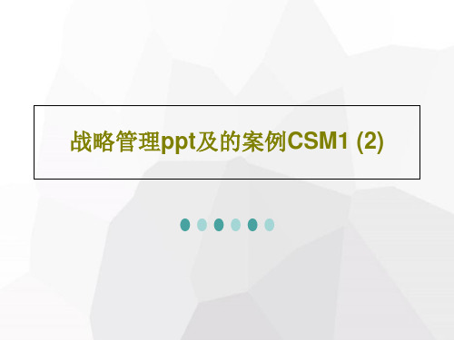 战略管理ppt及的案例CSM1 (2)36页PPT