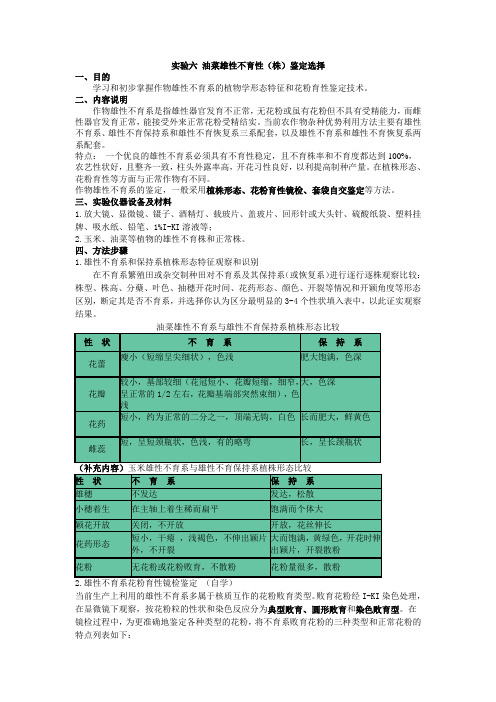 实验六 油菜雄性不育性(株)鉴定选择