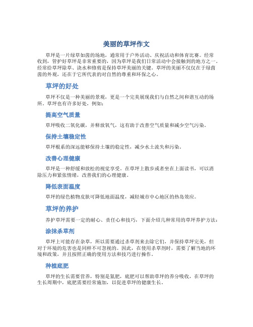 美丽的草坪作文字