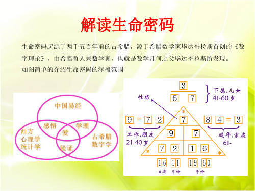 生命密码打造高绩效团队ppt课件