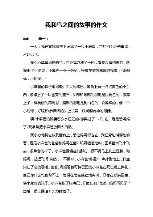 我和鸟之间的故事的作文