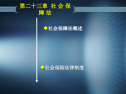 社会保障法概述社会保障法的基本原则