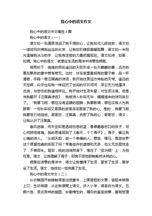 我心中的语文作文精选3篇