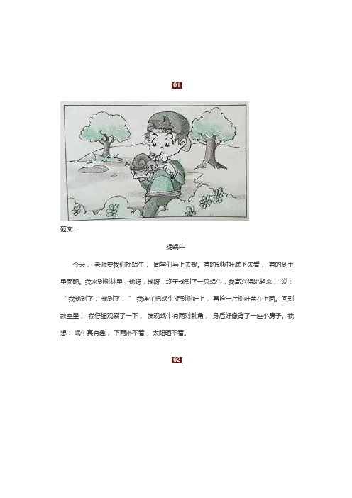 部编版语文二年级下册看图写话范文38篇