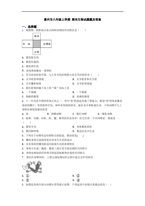 惠州市八年级上学期 期末生物试题题及答案