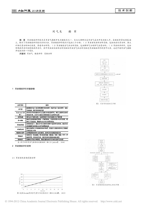 页岩气储层评价技术的方法_实验分析技术